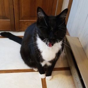 Meet your Posher, Casey